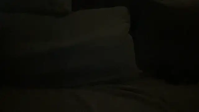 LeoLovelyDick online show from 24, 11, 2025