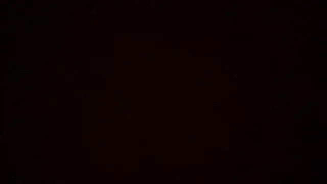 LeoLovelyDick online show from 18, 1, 2026