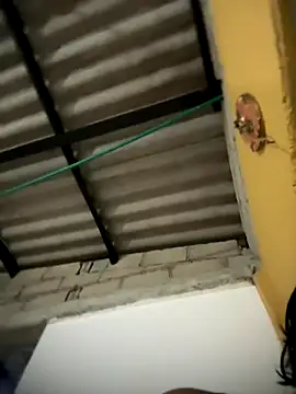 daniel6916 online show from 16, 11, 2025