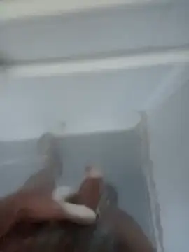 bigcockturk3 online show from 12, 2, 2025