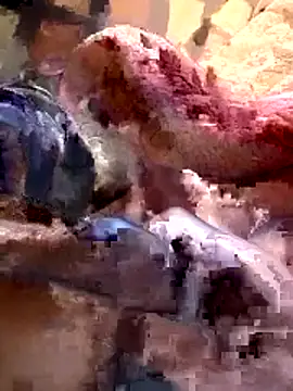 26menny74 online show from 7, 11, 2025