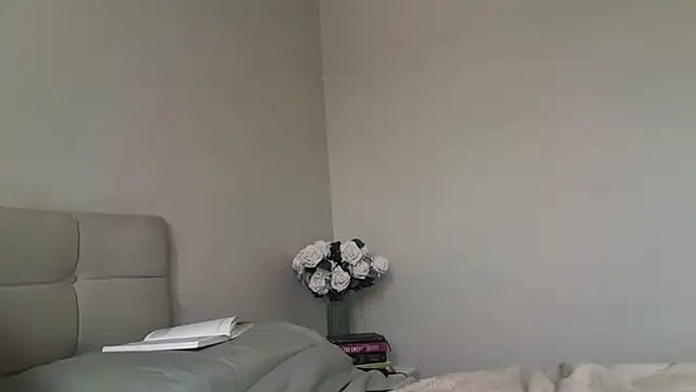 skyejde online show from 15, 11, 2025