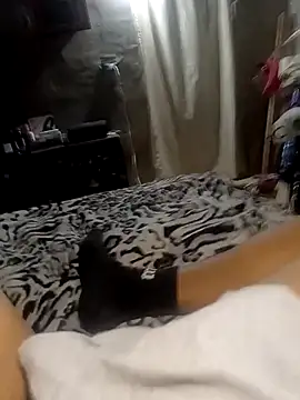 xxx dogg online show from 18, 12, 2025