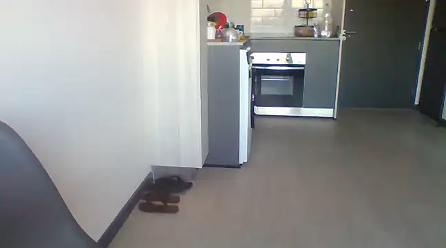 tu la humilde online show from 6, 2, 2025