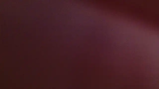 lissa palmer online show from 12, 11, 2025