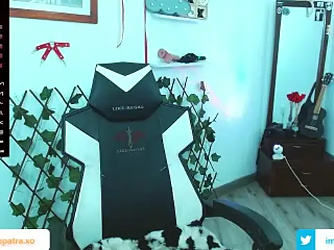 imcleo xoxo online show from 21, 2, 2025