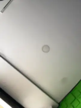 Dulce  Boyd online show from 14, 3, 2026