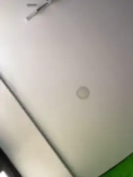 Snapshot of Dulce__Boyd chatting on 11, 2, 2026 Dulce Boyd online show from 11, 2, 2026