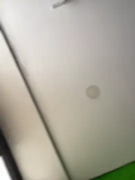 Snapshot of Dulce__Boyd chatting on 17, 2, 2026 Dulce Boyd online show from 17, 2, 2026