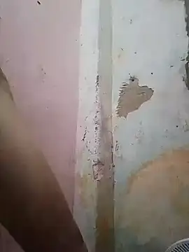 shuelldin online show from 13, 2, 2025