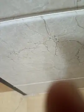 hard bone69 online show from 19, 3, 2026