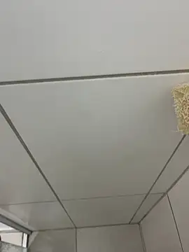 MateusBH123 online show from 13, 1, 2026