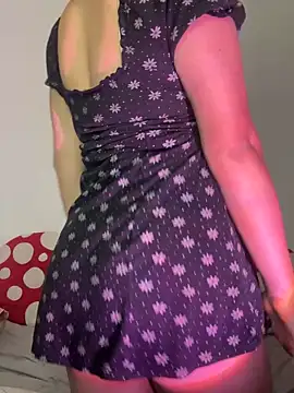 Elice cooper  online show from 7, 4, 2026