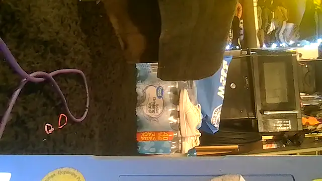 ShysluutGia online show from 4, 2, 2026