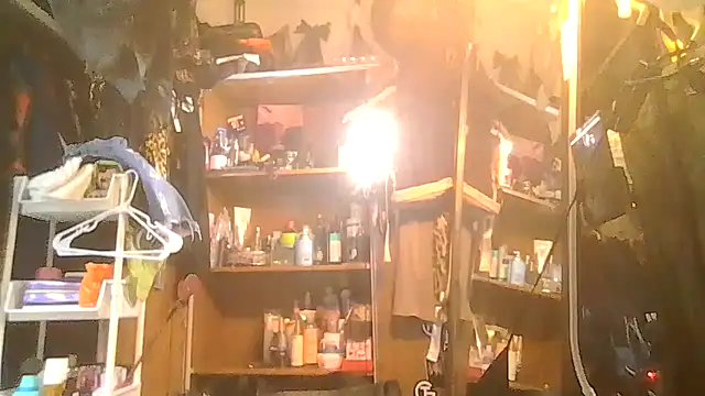 ShysluutGia online show from 31, 1, 2026