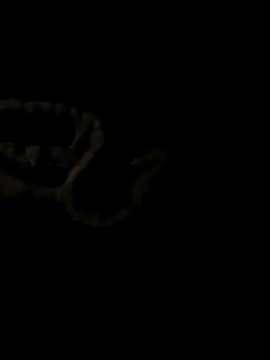 ShysluutGia online show from 21, 10, 2025