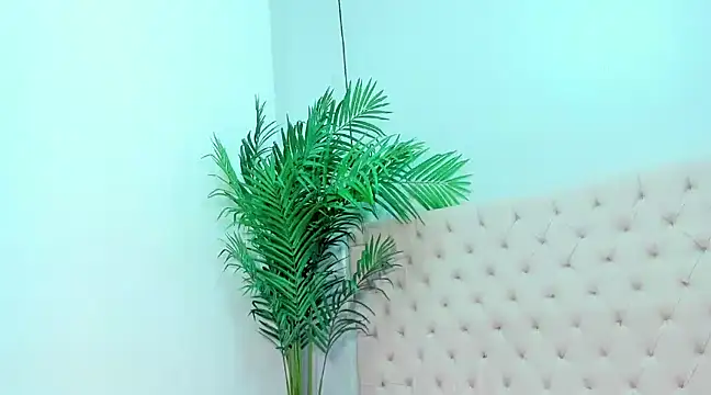 Andrea Tobar online show from 12, 2, 2025