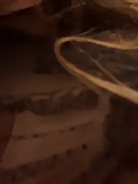 aurora coldd online show from 11, 4, 2026