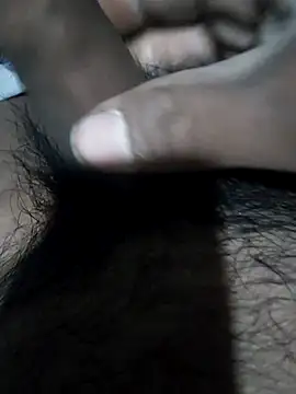 oktlicogedor online show from 12, 4, 2026