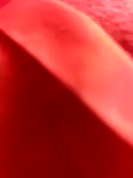 Nahuel141414 online show from 25, 2, 2026