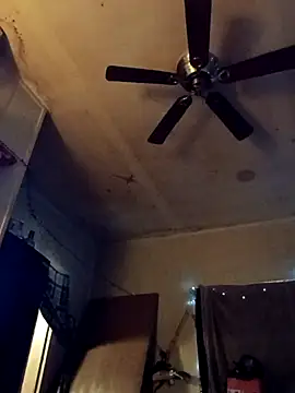 birdg online show from 31, 10, 2025