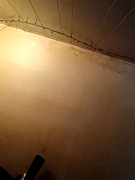 birdg online show from 27, 10, 2025