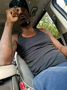 birdg online show from 2, 10, 2025