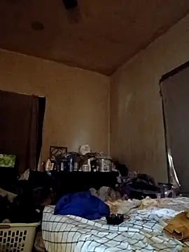 birdg online show from 17, 11, 2025