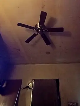 birdg online show from 13, 11, 2025