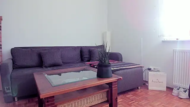 molicaremolicare online show from 6, 11, 2025