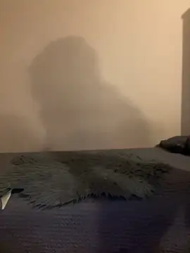 Budibudi5 online show from 19, 11, 2025