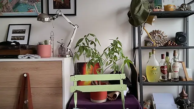 Snapshot of MikymikeBBWD chatting on 12, 11, 2025 MikymikeBBWD online show from 12, 11, 2025