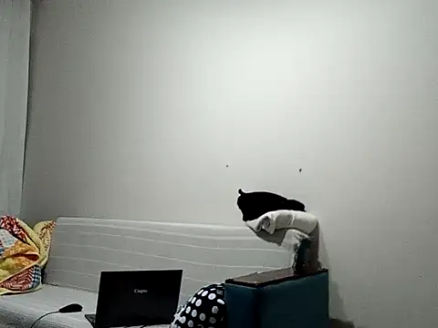 Snapshot of BellBort chatting on 3, 3, 2026 BellBort online show from 3, 3, 2026