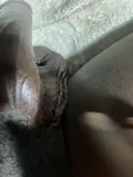 BlaccZhakky online show from 14, 1, 2026