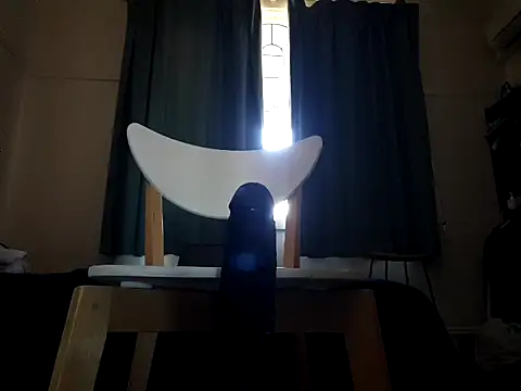 MystiqueRider online show from 19, 11, 2025