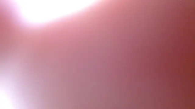 camilah tk online show from 22, 4, 2026