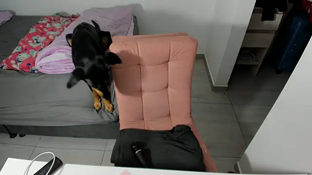 Greciaruiz  online show from 15, 4, 2026