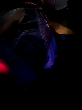 PPP 25 online show from 10, 11, 2025