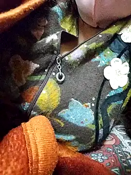 PPP 25 online show from 14, 11, 2025