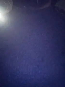 PPP 25 online show from 4, 11, 2025