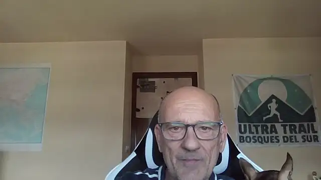 llopaco online show from 13, 5, 2026