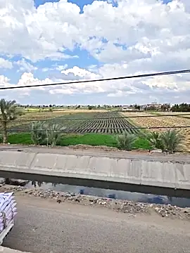 Loly2025 online show from 7, 4, 2026