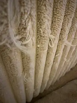 tiago499 online show from 7, 2, 2026