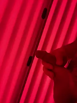 plaintreebull online show from 10, 1, 2026