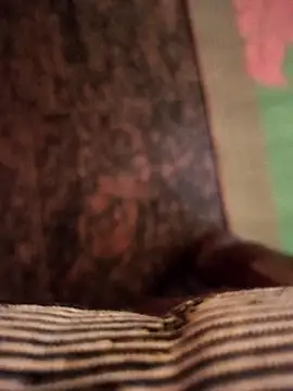 cocktony online show from 7, 11, 2025