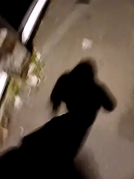 Eusuntnoulgigolo online show from 14, 10, 2025