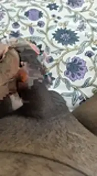 desi pb02 online show from 6, 11, 2025