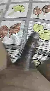 desi pb02 online show from 14, 9, 2025