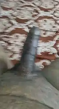 desi pb02 online show from 9, 9, 2025