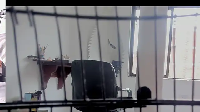 afroditacute15 online show from 20, 9, 2025